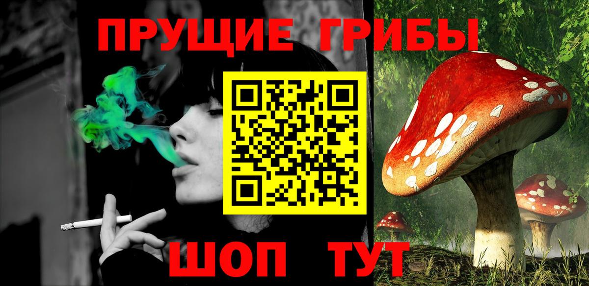 Галлюциногенные грибы прущие грибы Урюпинск